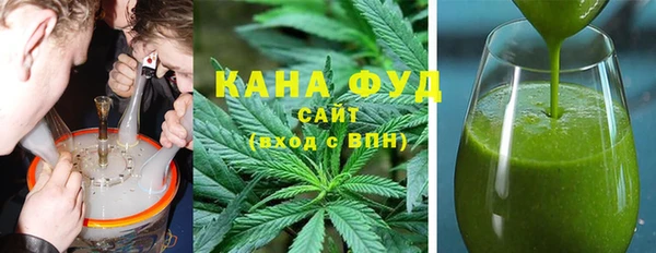 spice Лагань