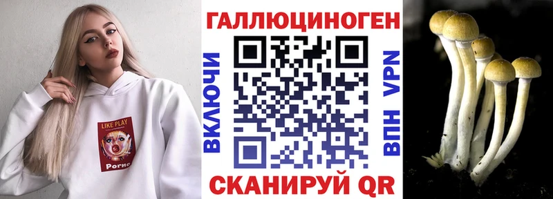 где продают наркотики  Бобров  сайты даркнета официальный сайт  Псилоцибиновые грибы GOLDEN TEACHER  blacksprut зеркало 